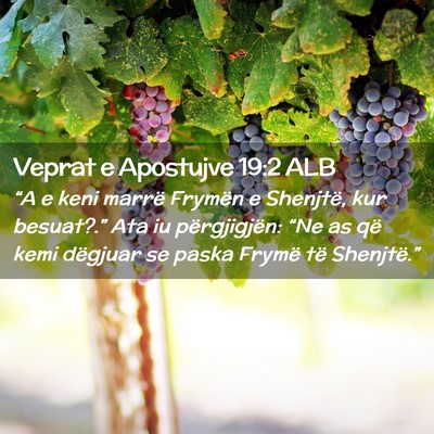 Picture 02 - Veprat e Apostujve 19:2 ALB - “A e keni marrë Frymën e Shenjtë, kur - Bible Verse Picture
