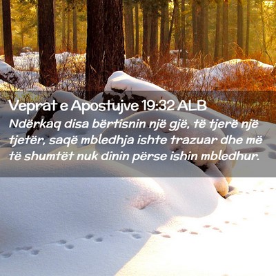 Picture 02 - Veprat e Apostujve 19:32 ALB - Ndërkaq disa bërtisnin një gjë, të tjerë - Bible Verse Picture