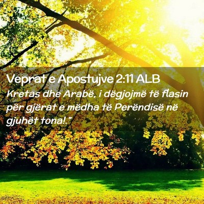 Picture 02 - Veprat e Apostujve 2:11 ALB - Kretas dhe Arabë, i dëgjojmë të flasin për - Bible Verse Picture