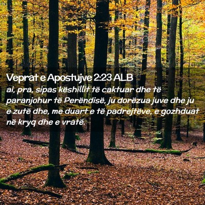 Picture 02 - Veprat e Apostujve 2:23 ALB - ai, pra, sipas këshillit të caktuar dhe të - Bible Verse Picture
