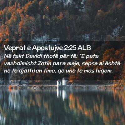 Picture 02 - Veprat e Apostujve 2:25 ALB - Në fakt Davidi thotë për të: 