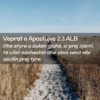 Picture 02 - Veprat e Apostujve 2:3 ALB - Dhe atyre u dukën gjuhë, si prej zjarri, të - Bible Verse Picture