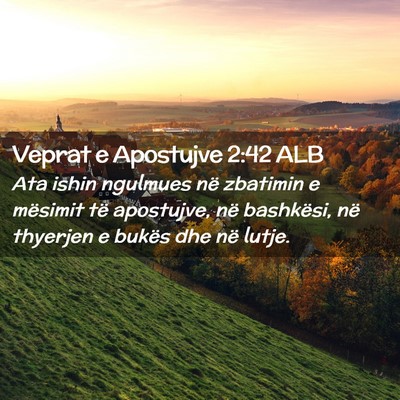 Picture 02 - Veprat e Apostujve 2:42 ALB - Ata ishin ngulmues në zbatimin e mësimit të - Bible Verse Picture