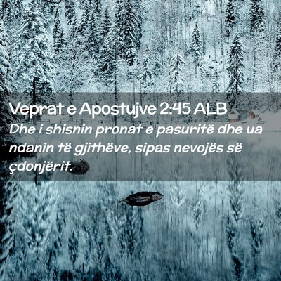 Picture 02 - Veprat e Apostujve 2:45 ALB - Dhe i shisnin pronat e pasuritë dhe ua ndanin - Bible Verse Picture