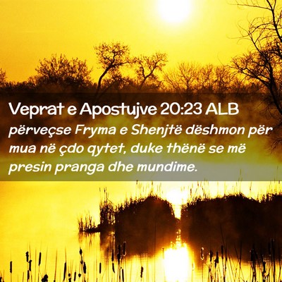 Picture 02 - Veprat e Apostujve 20:23 ALB - përveçse Fryma e Shenjtë dëshmon për mua në - Bible Verse Picture