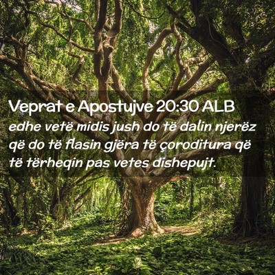 Picture 02 - Veprat e Apostujve 20:30 ALB - edhe vetë midis jush do të dalin njerëz që do - Bible Verse Picture