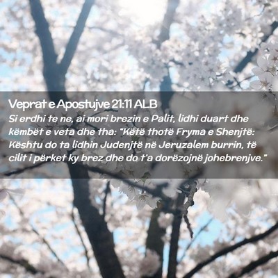 Picture 02 - Veprat e Apostujve 21:11 ALB - Si erdhi te ne, ai mori brezin e Palit, lidhi - Bible Verse Picture