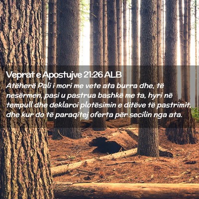 Picture 02 - Veprat e Apostujve 21:26 ALB - Atëherë Pali i mori me vete ata burra dhe, të - Bible Verse Picture