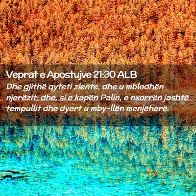 Picture 02 - Veprat e Apostujve 21:30 ALB - Dhe gjithë qyteti ziente, dhe u mblodhën - Bible Verse Picture
