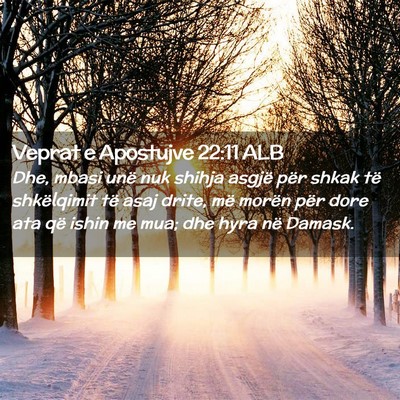 Picture 02 - Veprat e Apostujve 22:11 ALB - Dhe, mbasi unë nuk shihja asgjë për shkak të - Bible Verse Picture