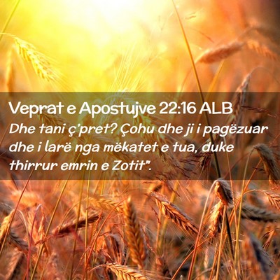 Picture 02 - Veprat e Apostujve 22:16 ALB - Dhe tani ç’pret? Çohu dhe ji i pagëzuar dhe - Bible Verse Picture