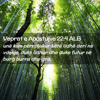 Picture 02 - Veprat e Apostujve 22:4 ALB - unë kam përndjekur këtë Udhë deri në - Bible Verse Picture