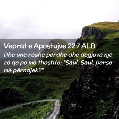 Picture 02 - Veprat e Apostujve 22:7 ALB - Dhe unë rashë përdhe dhe dëgjova një zë që - Bible Verse Picture