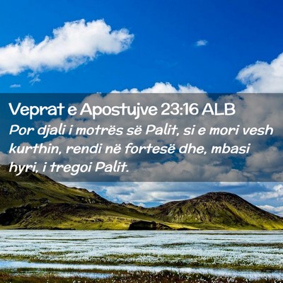 Picture 02 - Veprat e Apostujve 23:16 ALB - Por djali i motrës së Palit, si e mori vesh - Bible Verse Picture