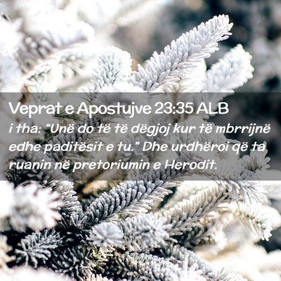 Picture 02 - Veprat e Apostujve 23:35 ALB - i tha: “Unë do të të dëgjoj kur të - Bible Verse Picture