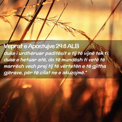 Picture 02 - Veprat e Apostujve 24:8 ALB - duke i urdhëruar paditësit e tij të vijnë tek - Bible Verse Picture