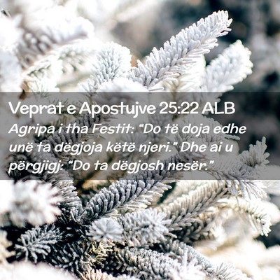 Picture 02 - Veprat e Apostujve 25:22 ALB - Agripa i tha Festit: “Do të doja edhe unë ta - Bible Verse Picture