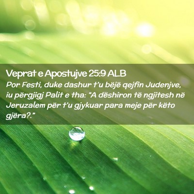 Picture 02 - Veprat e Apostujve 25:9 ALB - Por Festi, duke dashur t’u bëjë qejfin - Bible Verse Picture