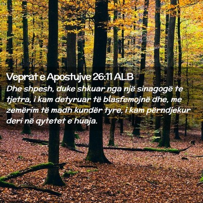 Picture 02 - Veprat e Apostujve 26:11 ALB - Dhe shpesh, duke shkuar nga një sinagogë te - Bible Verse Picture
