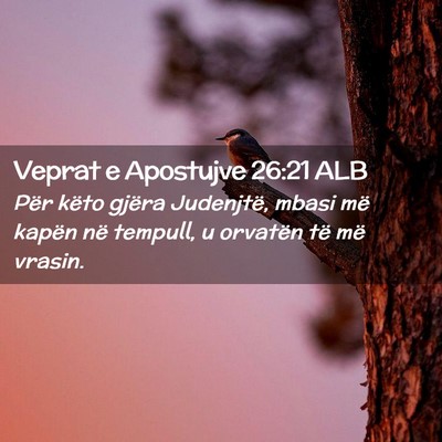 Picture 02 - Veprat e Apostujve 26:21 ALB - Për këto gjëra Judenjtë, mbasi më kapën në - Bible Verse Picture