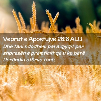 Picture 02 - Veprat e Apostujve 26:6 ALB - Dhe tani ndodhem para qjyqit për shpresën e - Bible Verse Picture