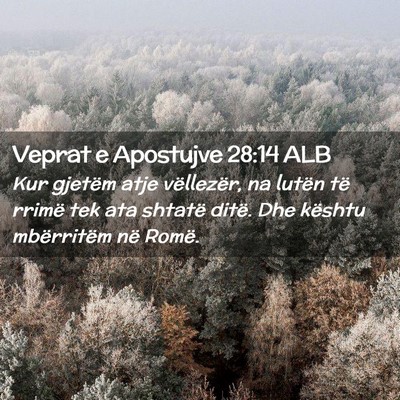 Picture 02 - Veprat e Apostujve 28:14 ALB - Kur gjetëm atje vëllezër, na lutën të rrimë - Bible Verse Picture