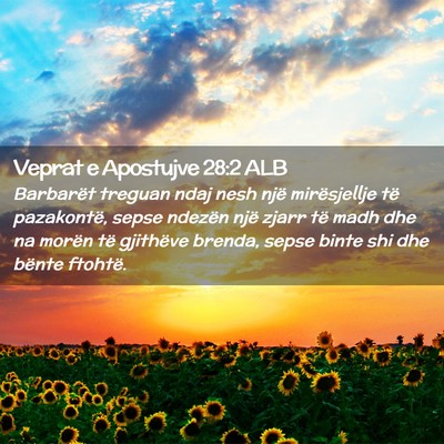Picture 02 - Veprat e Apostujve 28:2 ALB - Barbarët treguan ndaj nesh një mirësjellje të - Bible Verse Picture