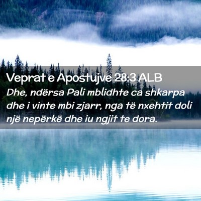 Picture 02 - Veprat e Apostujve 28:3 ALB - Dhe, ndërsa Pali mblidhte ca shkarpa dhe i vinte - Bible Verse Picture