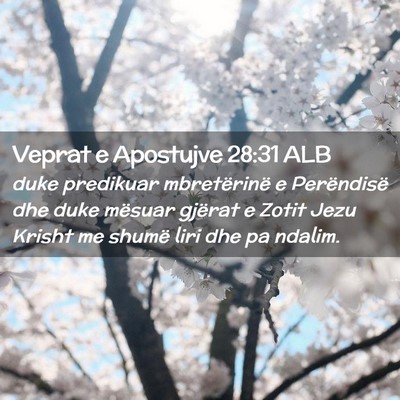 Picture 02 - Veprat e Apostujve 28:31 ALB - duke predikuar mbretërinë e Perëndisë dhe - Bible Verse Picture
