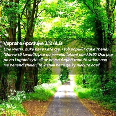 Picture 02 - Veprat e Apostujve 3:12 ALB - Dhe Pjetri, duke parë këtë gjë, i foli - Bible Verse Picture