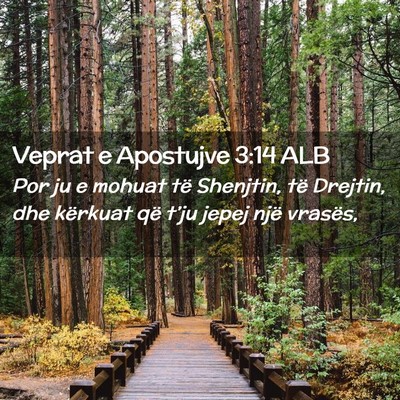 Picture 02 - Veprat e Apostujve 3:14 ALB - Por ju e mohuat të Shenjtin, të Drejtin, dhe - Bible Verse Picture
