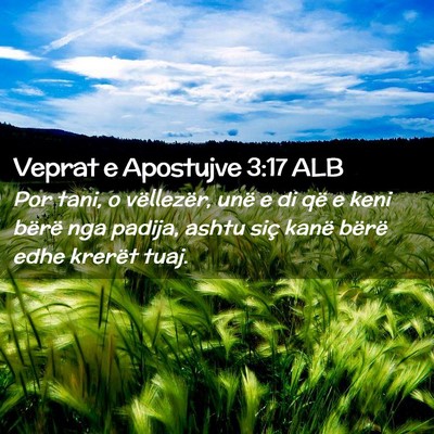 Picture 02 - Veprat e Apostujve 3:17 ALB - Por tani, o vëllezër, unë e di që e keni - Bible Verse Picture