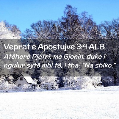 Picture 02 - Veprat e Apostujve 3:4 ALB - Atëherë Pjetri, me Gjonin, duke i ngulur sytë - Bible Verse Picture