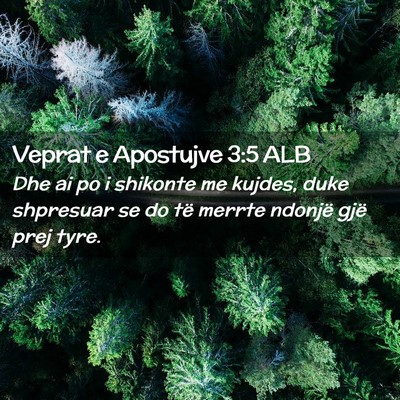 Picture 02 - Veprat e Apostujve 3:5 ALB - Dhe ai po i shikonte me kujdes, duke shpresuar se - Bible Verse Picture