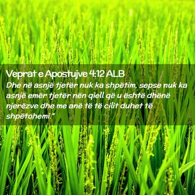 Picture 02 - Veprat e Apostujve 4:12 ALB - Dhe në asnjë tjetër nuk ka shpëtim, sepse nuk - Bible Verse Picture