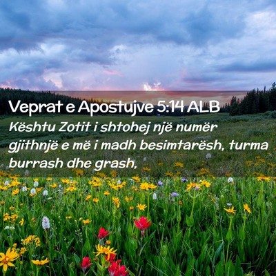 Picture 02 - Veprat e Apostujve 5:14 ALB - Kështu Zotit i shtohej një numër gjithnjë e - Bible Verse Picture
