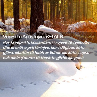 Picture 02 - Veprat e Apostujve 5:24 ALB - Por kryeprifti, komandanti i rojeve të tempullit - Bible Verse Picture
