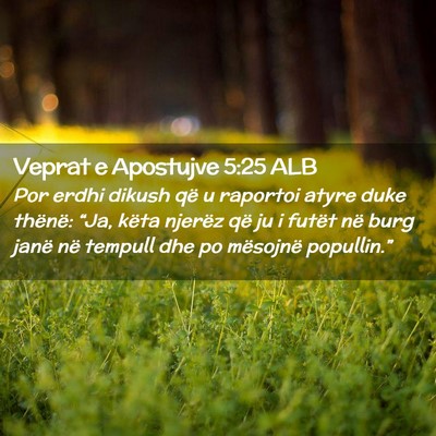 Picture 02 - Veprat e Apostujve 5:25 ALB - Por erdhi dikush që u raportoi atyre duke - Bible Verse Picture
