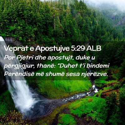 Picture 02 - Veprat e Apostujve 5:29 ALB - Por Pjetri dhe apostujt, duke u përgjigjur, - Bible Verse Picture