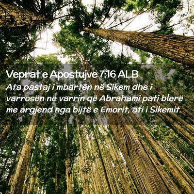 Picture 02 - Veprat e Apostujve 7:16 ALB - Ata pastaj i mbartën në Sikem dhe i varrosën - Bible Verse Picture