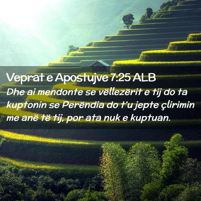 Picture 02 - Veprat e Apostujve 7:25 ALB - Dhe ai mendonte se vëllezërit e tij do ta - Bible Verse Picture