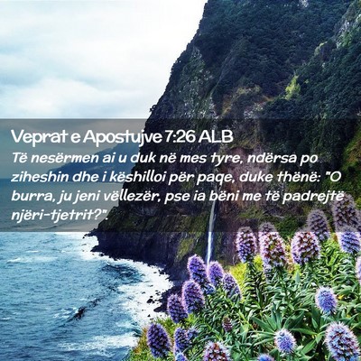 Picture 02 - Veprat e Apostujve 7:26 ALB - Të nesërmen ai u duk në mes tyre, ndërsa po - Bible Verse Picture