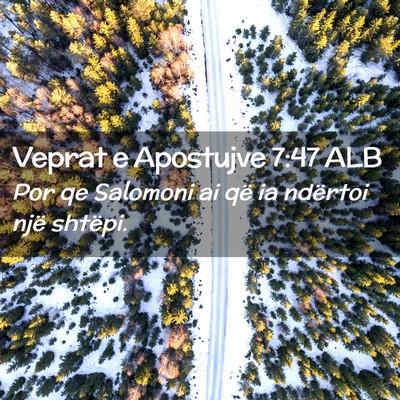 Picture 02 - Veprat e Apostujve 7:47 ALB - Por qe Salomoni ai që ia ndërtoi një - Bible Verse Picture