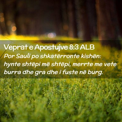 Picture 02 - Veprat e Apostujve 8:3 ALB - Por Sauli po shkatërronte kishën: hynte shtëpi - Bible Verse Picture