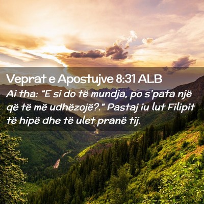 Picture 02 - Veprat e Apostujve 8:31 ALB - Ai tha: “E si do të mundja, po s’pata një - Bible Verse Picture
