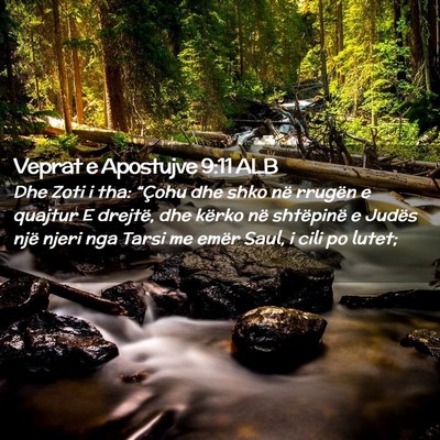 Picture 02 - Veprat e Apostujve 9:11 ALB - Dhe Zoti i tha: “Çohu dhe shko në rrugën e - Bible Verse Picture