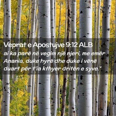 Picture 02 - Veprat e Apostujve 9:12 ALB - ai ka parë në vegim një njeri, me emër - Bible Verse Picture