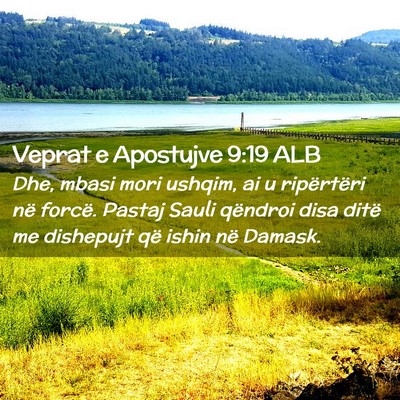 Picture 02 - Veprat e Apostujve 9:19 ALB - Dhe, mbasi mori ushqim, ai u ripërtëri në - Bible Verse Picture