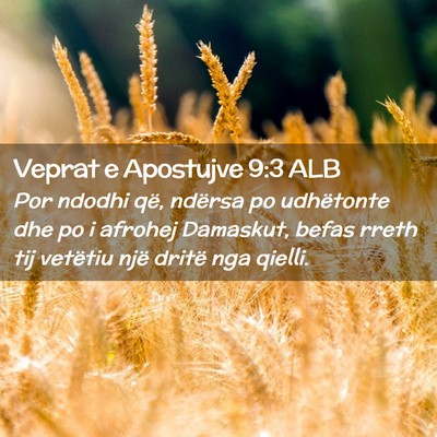 Picture 02 - Veprat e Apostujve 9:3 ALB - Por ndodhi që, ndërsa po udhëtonte dhe po i - Bible Verse Picture