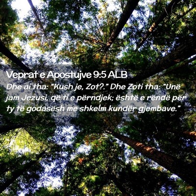 Picture 02 - Veprat e Apostujve 9:5 ALB - Dhe ai tha: “Kush je, Zot?.” Dhe Zoti tha: - Bible Verse Picture